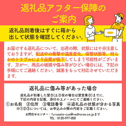 【ふるさと納税】信州の旬のりんごおまかせ約5kgセット長野 フルーツ 果物 信州産 特産 産地直送 おすすめ　【果物類・林檎・りんご・リンゴ】　お届け：2022年9月中旬〜2023年1月下旬･･･ 画像2