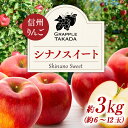 【ふるさと納税】信州りんご シナノスイート 3kg ※クレジット決済限定 りんご リンゴ 林檎 長野 フルーツ 果物 信州産 長野県産 特産 産地直送 おすすめ お届け:2025年10月中旬~10月下旬