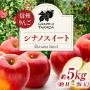 【ふるさと納税】信州りんご シナノスイート 5kg ※クレジット決済限定 りんご リンゴ 林檎 長野 フルーツ 果物 信州産 長野県産 特産 産地直送 おすすめ お届け:2025年10月中旬~10月下旬