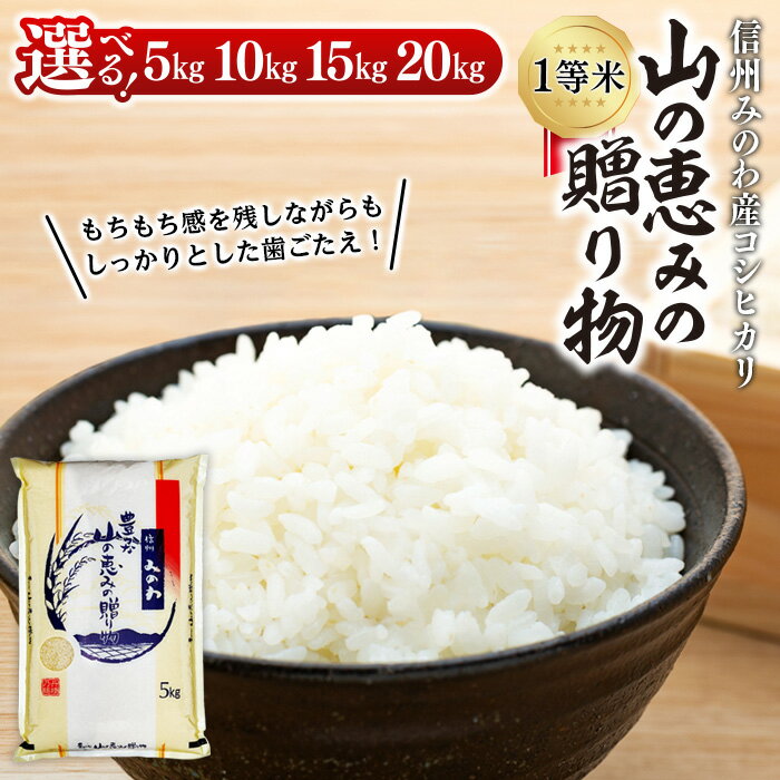 信州産 コシヒカリ 1等米 「山の恵みの贈り物」 5kg （ お米 コシヒカリ 白米 搗きたて米 低温貯蔵米 食品 )　