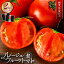 【ふるさと納税】長野県産 ルージュフルーツトマト2kg 先行予約　【野菜・トマト】　お届け：2024年3月上旬～7月中旬