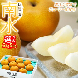 【ふるさと納税】信州の梨【南水】約5kg なし フルーツ 果物 長野 長野県産 信州産 デザート おすすめ 特産 産地直送　【 長野県 箕輪町 】　お届け：2023年9月中旬〜12月下旬･･･ 画像1