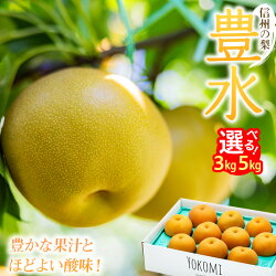 【ふるさと納税】信州の梨【豊水】約5kg！水分たっぷりジューシーな梨です フルーツ 果物 長野 信州産 デザート おすすめ 特産 産地直送　【梨・ナシ・果物・フルーツ・先行予約】　お届け：2022年9月上旬〜9月下旬･･･ 画像1