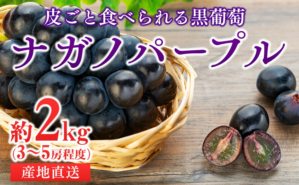 【ふるさと納税】皮ごと食べられる黒葡萄 ナガノパープル約2kg ※クレジット限定 葡萄 ぶどう ブドウ 長野 フルーツ 果物 信州産 長野県産 特産 産地直送 おすすめ デザート　【 長野県 箕輪町 】　お届け：2024月9月中旬～10月上旬