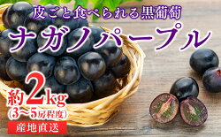 【ふるさと納税】皮ごと食べられる黒葡萄　ナガノパープル約2kg　【果物・ぶどう・フルーツ】　お届け：2022月9月20日〜10月5日 画像1