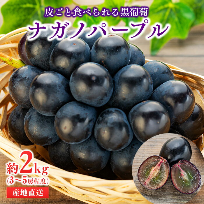 【ふるさと納税】皮ごと食べられる黒葡萄　ナガノパープル約2kg　【果物・ぶどう・フルーツ】　お届け：2022月9月20日〜10月5日