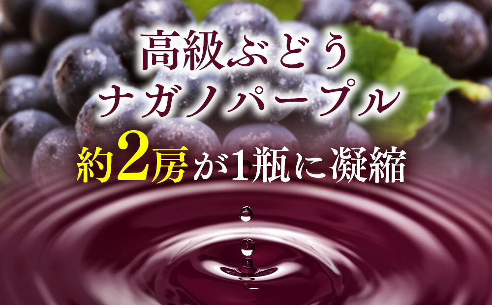 【ふるさと納税】こだわり葡萄酒 ナガノパープルワイン 葡萄 ぶどう ブドウ 長野 酒 ワイン 信州産 長野県産 特産 産地直送 おすすめ 飲み切り ハーフボトル 記念日 　お届け：2027年1月頃から順次出荷
