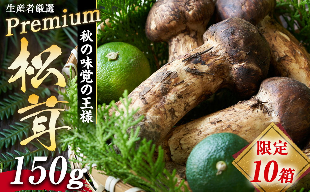 【ふるさと納税】【限定10箱】生産者厳選プレミアムまつたけ 150g　【野菜・きのこ・まつたけ・150g・マツタケ】　お届け：2024年9月中旬～10月下旬頃