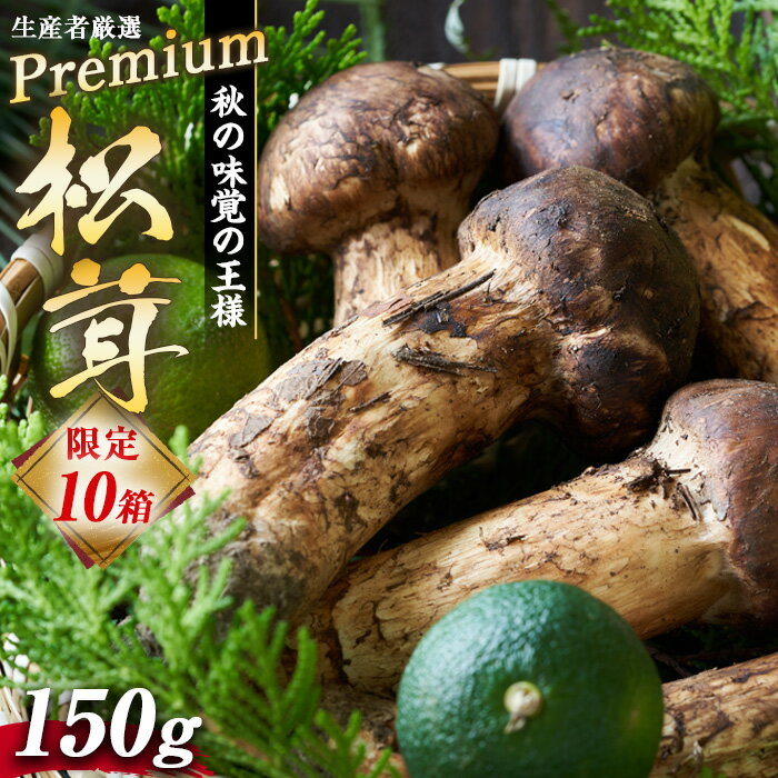 【ふるさと納税】【限定10箱】生産者厳選プレミアムまつたけ 150g 【野菜 きのこ まつたけ 150g マツタケ】 お届け：2024年9月中旬～10月下旬頃