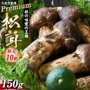 生産者厳選プレミアムまつたけ　150g　　お届け：2024年9月中旬～10月下旬頃