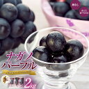 28位! 口コミ数「1件」評価「1」【訳あり】ナガノパープル 約2kg 　【 箕輪町 】　お届け：2024年9月中旬～10月中旬頃