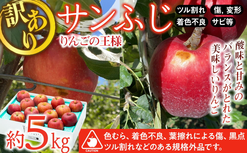 【ふるさと納税】【2024年/令和6年度発送分！先行予約】 訳あり さんふじ 約5kg りんご リンゴ 林檎 長野 フルーツ 果物 信州産 長野県産 特産 産地直送 家庭用 おすすめ　【 長野県 箕輪町 】　お届け：2024年11月中旬～2025年2月中旬