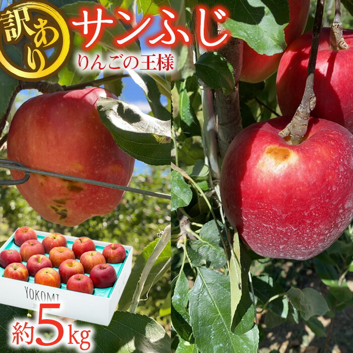 21位! 口コミ数「0件」評価「0」【2024年/令和6年度発送分！先行予約】 訳あり さんふじ 約5kg りんご リンゴ 林檎 長野 フルーツ 果物 信州産 長野県産 特産 ･･･ 