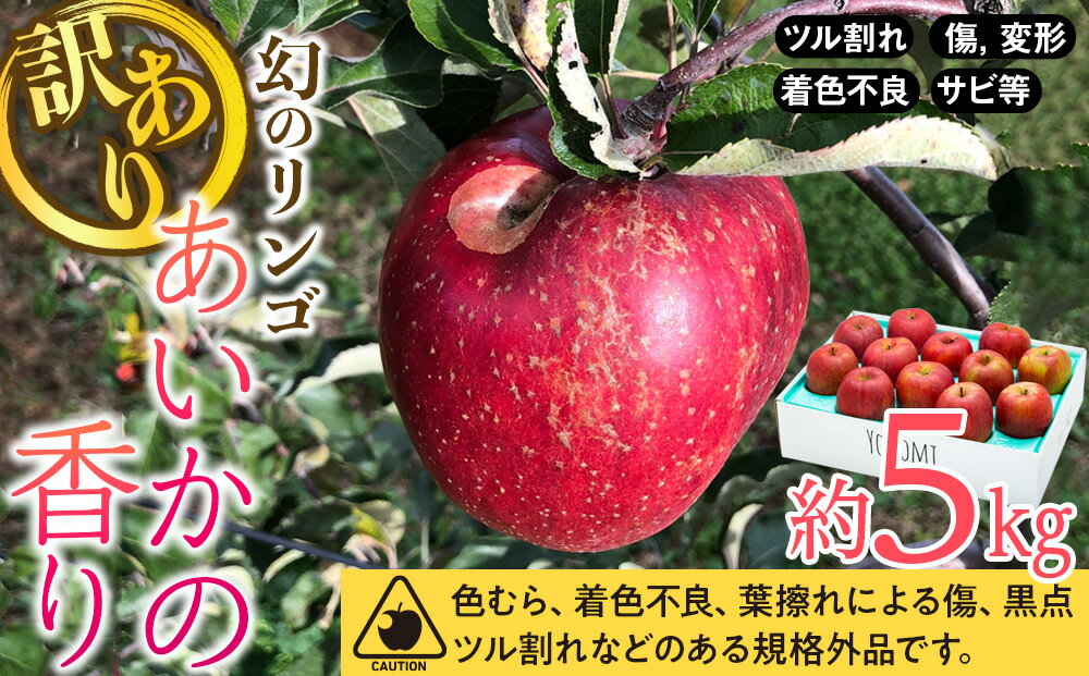 【ふるさと納税】【2024年/令和6年度発送分！先行予約】りんご 訳あり 長野 あいかの香り 約 5kg フルーツ 果物 デザート おやつ リンゴ 林檎 あいか 産地直送 長野県 長野県産 信州産 長野県箕輪町　【 箕輪町 】　お届け：2024年11月～2025年2月ごろ