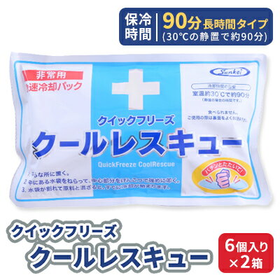 【ふるさと納税】冷却パック　クールレスキュー　6個入り×2箱　【防災グッズ・防災用品・雑貨・日用品】