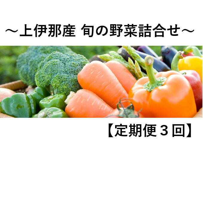【ふるさと納税】【定期便】上伊那産 旬の野菜詰合せ 3回 【定期便・野菜・セット・詰合せ】