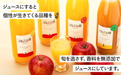 【ふるさと納税】爽やか酸味のリンゴジュース 1000ml　味くらべ3品種 長野 フルーツ 果物 信州産 特産 産地直送 おすすめ ブラムリーブランド シナノドルチェ 紅玉 爽やか　【 味くらべ3品種】･･･ 画像2