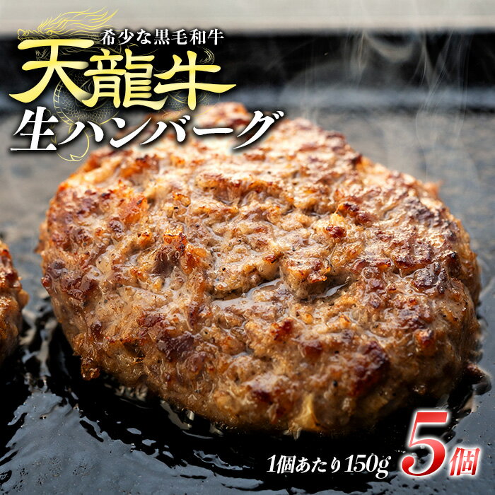 【希少な黒毛和牛】天龍牛生ハンバーグ150g×5個 ハンバーグ 天龍牛 黒毛和牛 長野県産 信州産 お肉 国産 希少　【 長野県 箕輪町 】