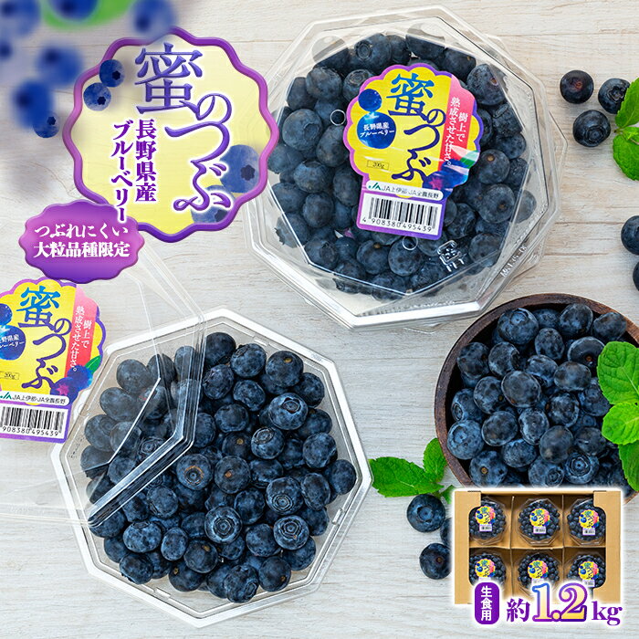 上伊那産ブルーベリー（200g×6袋） 果物 詰合せ フルーツ 生食用 1.2kg 大粒 甘酸っぱい お届け：2024年6月中旬～7月下旬