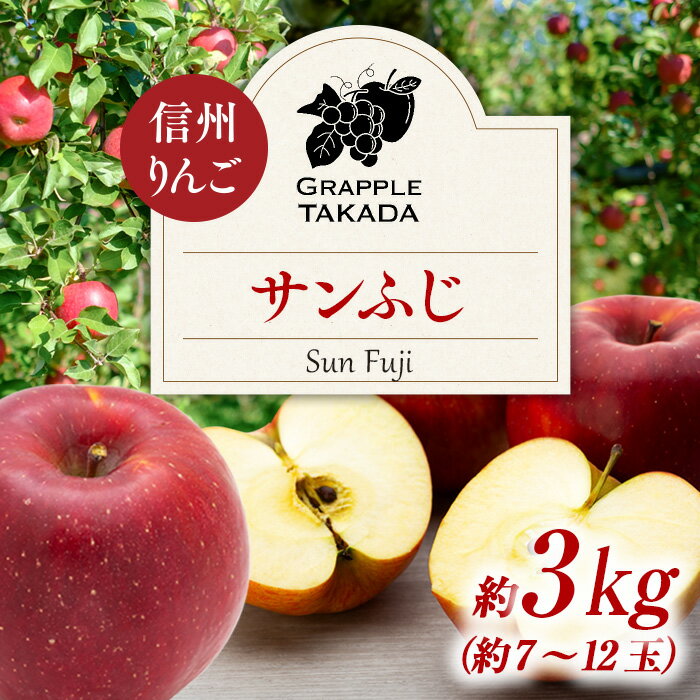 25位! 口コミ数「0件」評価「0」信州りんご サンふじ3kg ※オンライン決済限定 りんご リンゴ 林檎 長野 フルーツ 果物 信州産 長野県産 特産 産地直送 おすすめ　【･･･ 