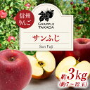 11位! 口コミ数「0件」評価「0」信州りんご サンふじ3kg ※オンライン決済限定 りんご リンゴ 林檎 長野 フルーツ 果物 信州産 長野県産 特産 産地直送 おすすめ　【･･･ 