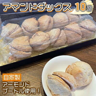 15位! 口コミ数「0件」評価「0」アマンドダックス10個　【 スイーツ 洋菓子 焼き菓子 おやつ 甘いもの 間食 ティータイム コーヒーブレイク ダックワーズ 添加物不使用 ･･･ 