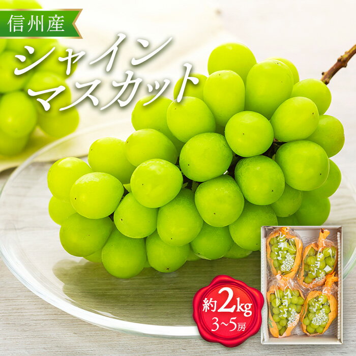 【ふるさと納税】シャインマスカット 2kg 3～5房 ぶどう 葡萄 ブドウ マスカット 果物 くだもの フルーツ 旬の果物 旬のフルーツ 信州 長野 長野県　箕輪町　お届け：2024年9月中旬～10月下旬のサムネイル
