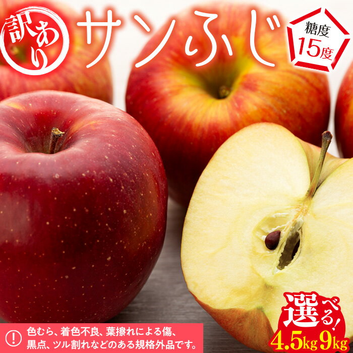 3位! 口コミ数「7件」評価「3.86」【訳あり】サンふじ　約4.5kg（16～18玉）　【 果物 フルーツ りんご 信州産 信州のりんご 信州の果物 長野のりんご りんごの王様 ･･･ 