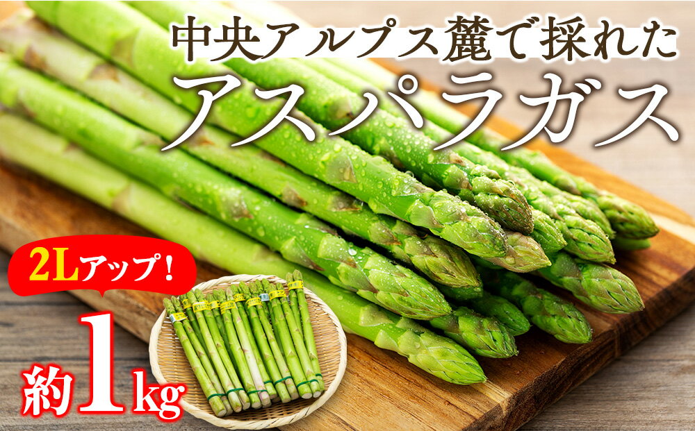 【ふるさと納税】アスパラガス　約1kg　2Lアップ　【 野菜 グリーンアスパラガス 春野菜 カロテン ビタミン 緑黄色野菜 栄養たっぷり 国産 長野県産 食材 食べ物 】　お届け：2024年4月中旬～5月下旬