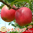 【ふるさと納税】先行予約 りんご シナノリップ 約5kg 家庭用 2025年 令和7年発送 完熟りんご 外観は不揃いだけど美味しいよ 林檎 リンゴ 果物 くだもの フルーツ 旬の果物 旬のフルーツ 信州 長野 長野県 お届け:2025年8月中旬~8月下旬ごろ