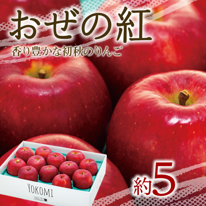 68位! 口コミ数「0件」評価「0」【2024年/令和6年度発送分！先行予約】甘さの中に程よい酸味があり、香り豊かな初秋のりんご【おぜの紅】約5kg　【 旬の果物 旬のフルーツ･･･ 
