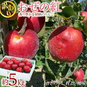【ふるさと納税】りんご 訳あり おぜの紅 約5kg 2025年 令和7年度発送分 リンゴ 林檎 長野 フルーツ 果物 果物類 信州産 長野県産 特産 産地直送 ...