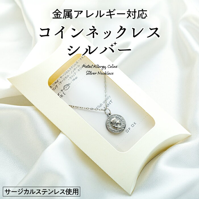 【ふるさと納税】金属アレルギー対応コインネックレス　シルバー　【 アクセサリー 装飾品 小物 ファッションア ファッション小物 アイテム おしゃれ 】