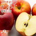 上伊那産サンふじ 約9kg　玉数おまかせ　　お届け：2024年11月上旬～12月下旬