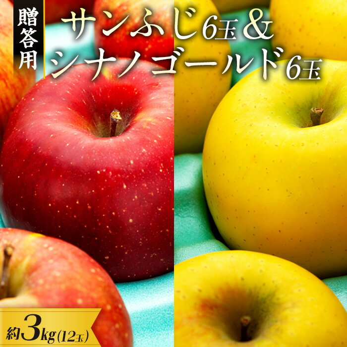 【ふるさと納税】【贈答用】りんご 長野 サンふじ6玉&シナノゴールド6玉　 約3kg （12玉）　【 箕輪町 】　お届け：2024年11月上旬～12月下旬