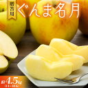 【ふるさと納税】りんご ぐんま名月 4.5kg 14〜18玉 贈答用 果物 くだもの フル−ツ 林檎 リンゴ ぐんま名月りんご 信州りんご 旬の果物...