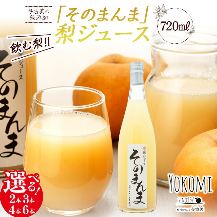 26位! 口コミ数「0件」評価「0」飲む梨!! 信州産　高級南水梨100%そのまんまジュース2本入　高い糖度の南水梨を使用!　【箕輪町】