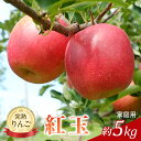 【ふるさと納税】先行予約 りんご 紅玉 約5kg 家庭用 2025年 令和7年発送 完熟りんご・外観は不揃いだけど美味しいよ 果物 くだもの フルーツ 林檎 リ...
