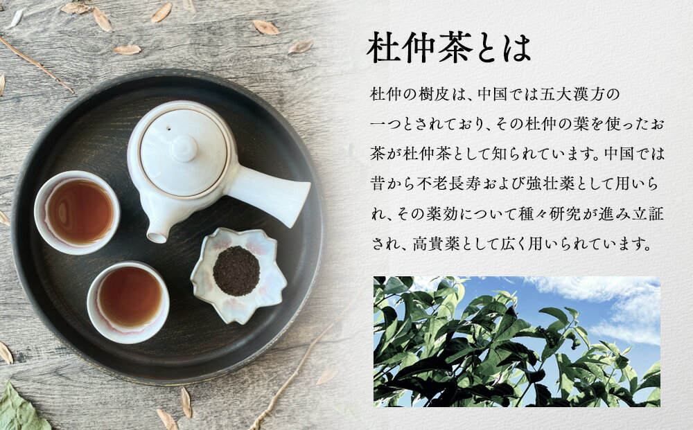 【ふるさと納税】信州伊那谷謹製 杜仲茶15パック3個 100%国産杜仲茶葉 ノンカフェイン 箕輪町 お茶 お取り寄せ