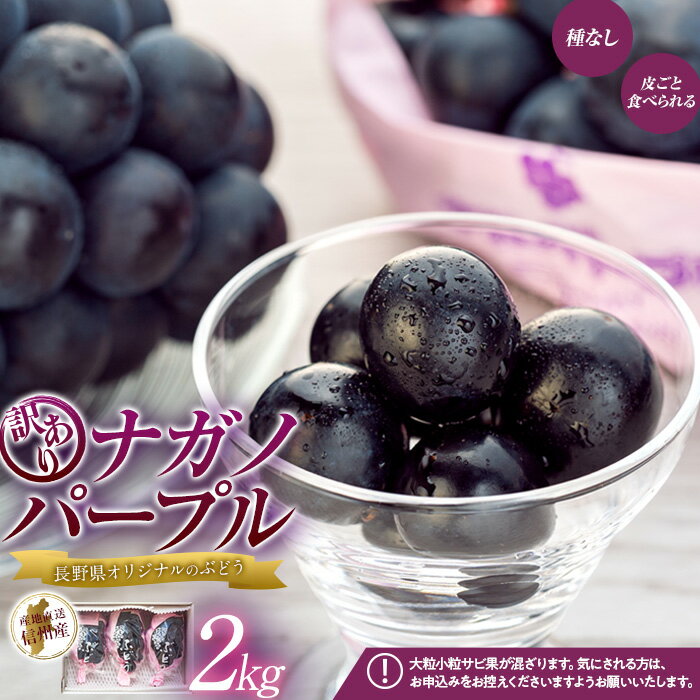 【ふるさと納税】【訳あり】ナガノパープル 約2kg 　【 箕輪町 】　お届け：2024年9月中旬～10月中旬頃のサムネイル