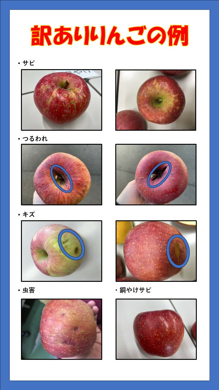 【ふるさと納税】【訳アリ】サンふじりんご 4.5kg～9kg 糖度13〜14保証 赤秀 2