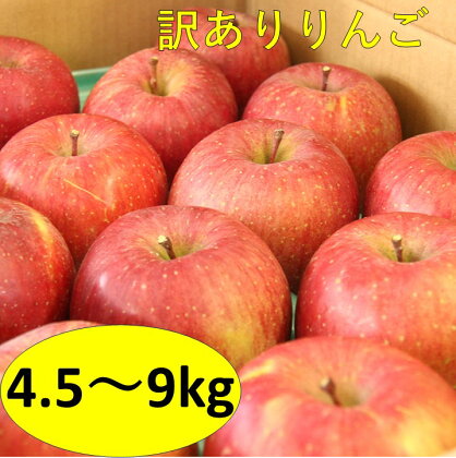 【訳アリ】サンふじりんご 4.5kg～9kg 糖度13〜14保証 赤秀