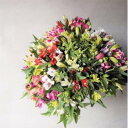 【ふるさと納税】アルストロメリア 切花(色・品種おまかせ) 約30本セット【1567298】