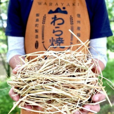 長野県飯島町の画像2