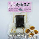 【ふるさと納税】天領 五平餅 10本セット 味噌だれつき【配送不可地域:離島】【1576832】