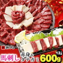 【ふるさと納税】馬刺し赤身500gとタテガミ100gのセット 12人前★専用タレ6個付き【配送不可地域:離島】【1588927】