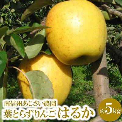 葉とらずりんご はるか 約5kg 無袋_果物 生果 家庭用 産地直送 長野県 飯島町【1593313】