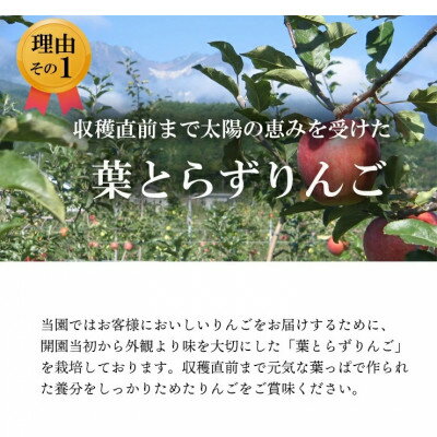 長野県飯島町の画像2