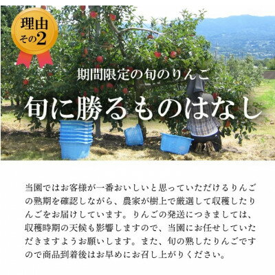 長野県飯島町の画像3