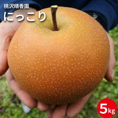 【ふるさと納税】【桃沢晴香園】にっこり梨 約5kg(7玉)【配送不可地域:離島・沖縄県】【1606256】 【ふるさと納税】【桃沢晴香園】にっこり梨 約5kg(7玉)【配送不可地域:離島・沖縄県】【1606256】